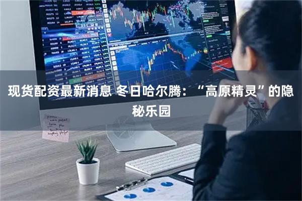 现货配资最新消息 冬日哈尔腾:“高原精灵”的隐秘乐园